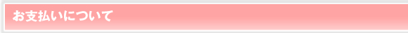 お支払いについて
